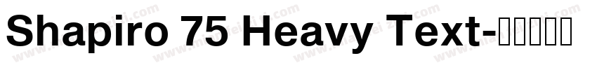 Shapiro 75 Heavy Text字体转换